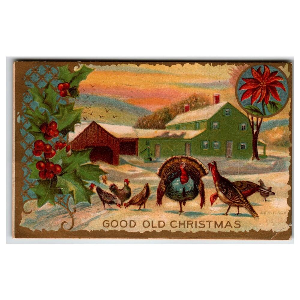 Vintage Christmas Postcard Turkeys Snow Farm Holly Poinsettia 1907 Posted